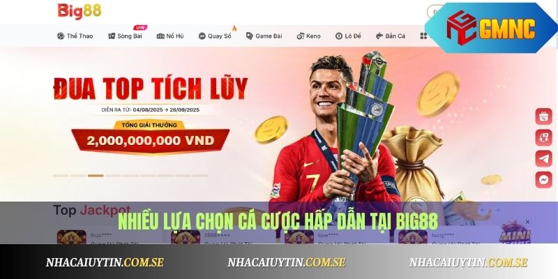 Big88 - Cá Cược Đa Dạng, Hỗ Trợ 24/7 Tận Tình Uy Tín 2 Nhiều lựa chọn cá cược hấp dẫn tại Big88